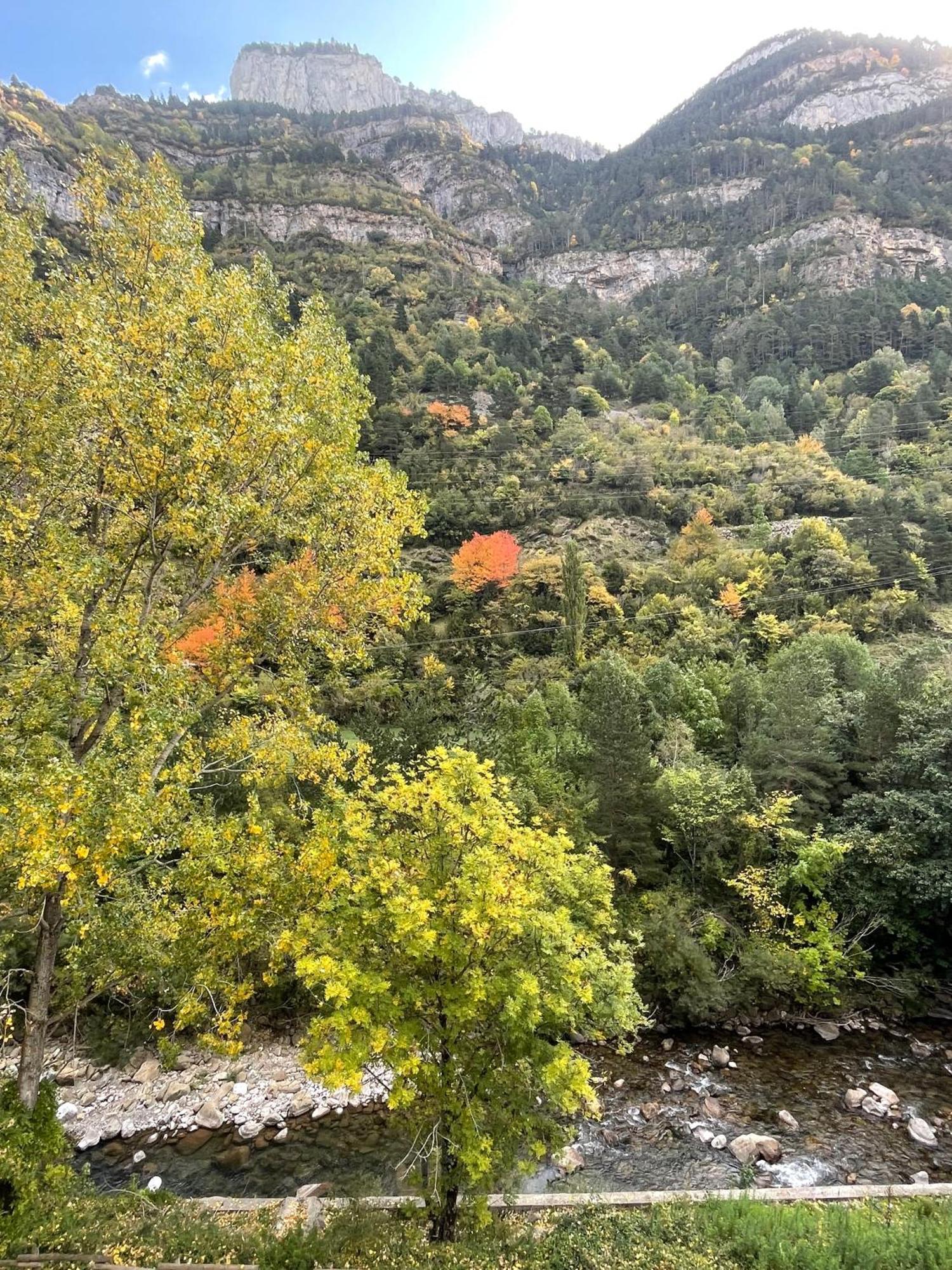 Calmfranc Atico Abuhardillado Con Vistas Al Rio Y La Montana Avistamiento De Ciervos En Canfranc Pueblo Exterior foto