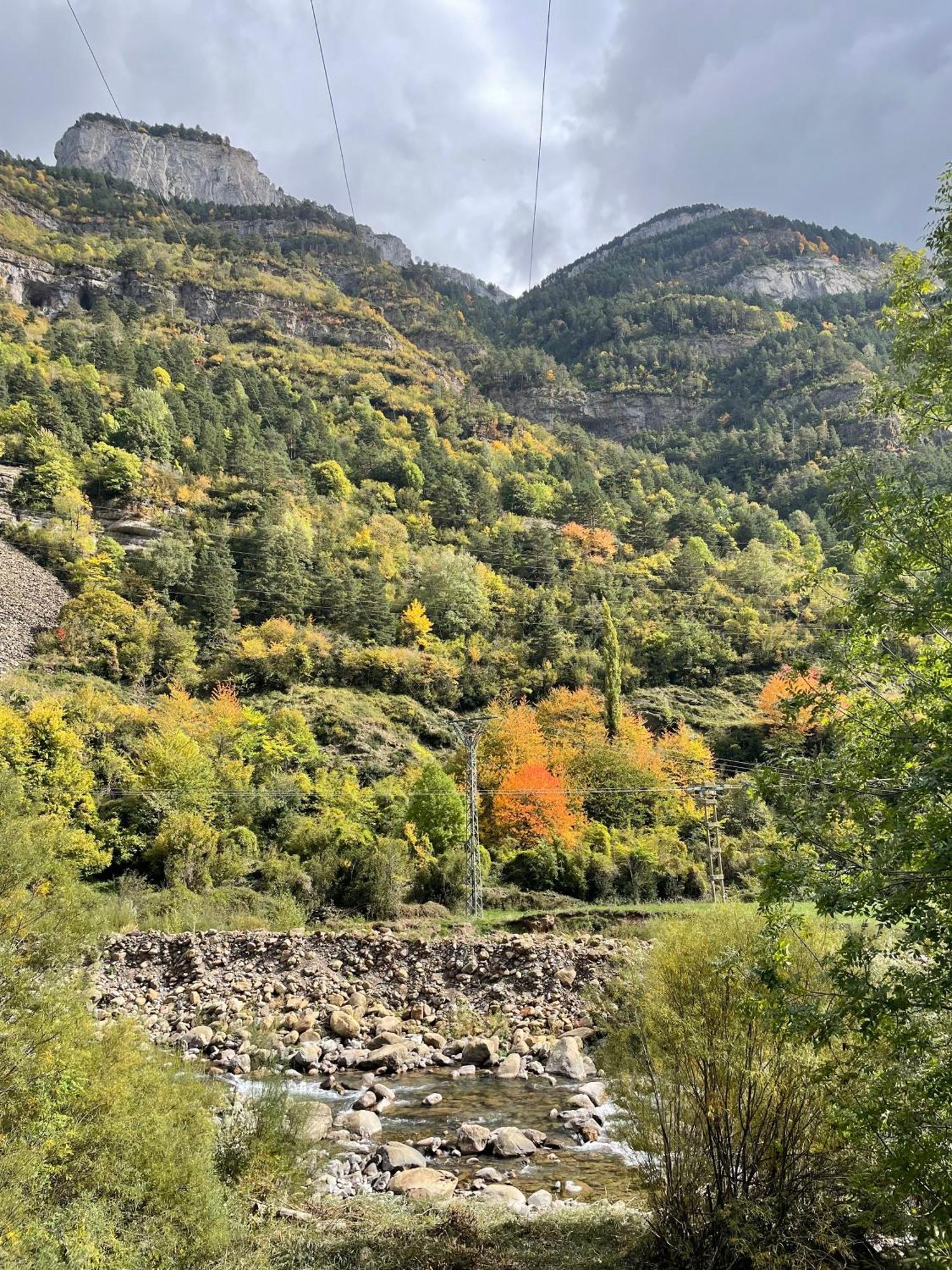 Calmfranc Atico Abuhardillado Con Vistas Al Rio Y La Montana Avistamiento De Ciervos En Canfranc Pueblo Exterior foto