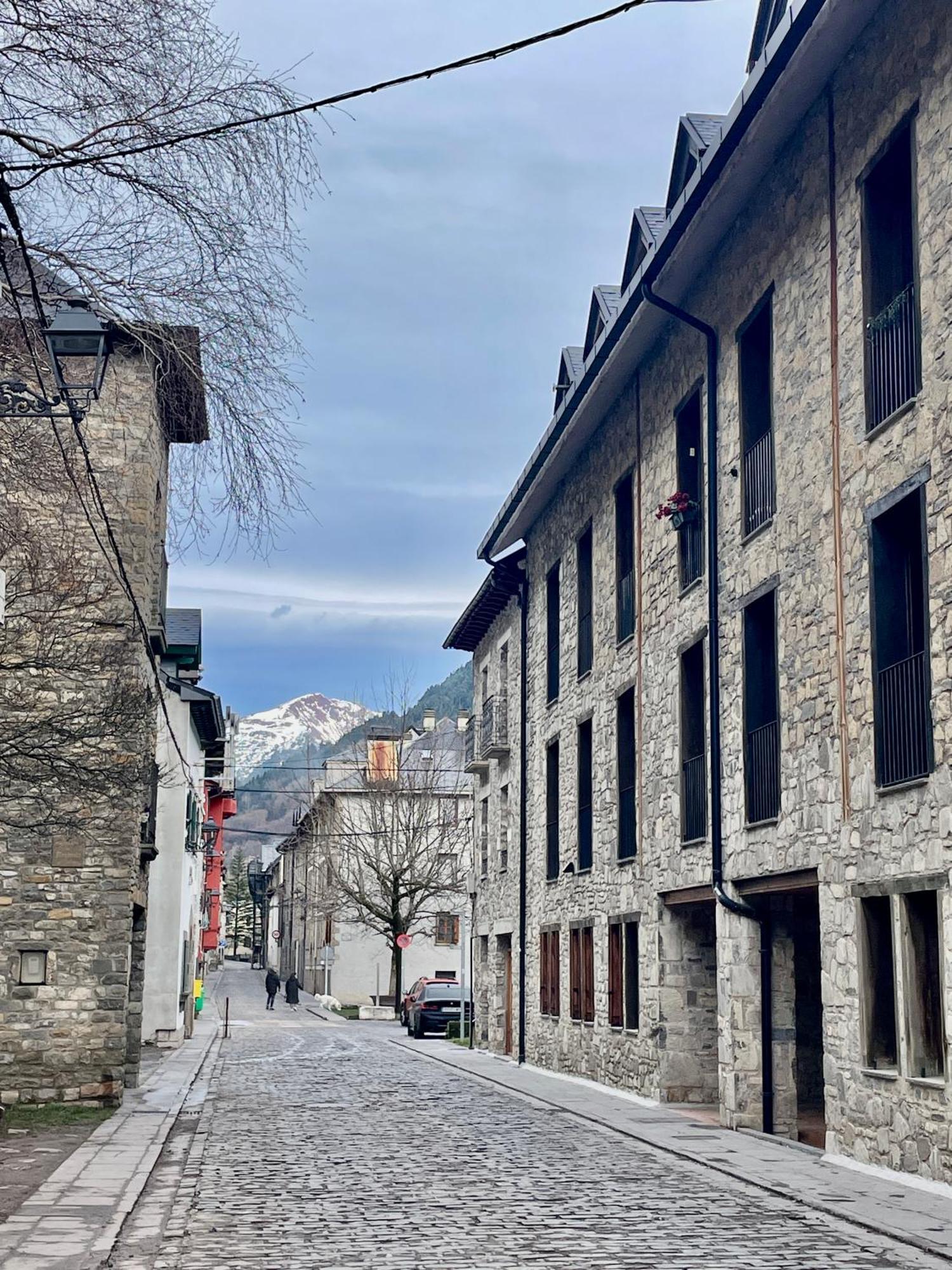 Calmfranc Atico Abuhardillado Con Vistas Al Rio Y La Montana Avistamiento De Ciervos En Canfranc Pueblo Exterior foto